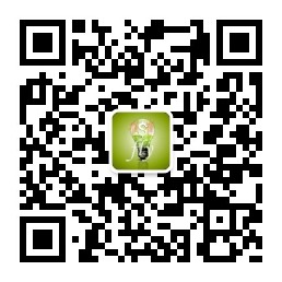 巧妙利用“百度经验”霸屏百度首页,引流精准粉丝-虚拟货源网