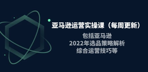 图片[1]-亚马逊运营实操课：亚马逊最新选品策略解析，综合运营技巧等-虚拟货源网