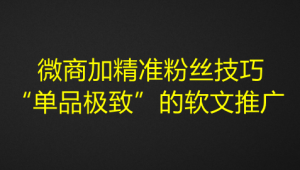 微商加精准粉丝技巧,“单品极致”的软文推广-虚拟货源网