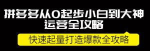 拼多多开店怎么运营:拼多多小白到大神运营全攻略,快速起量打造10W+爆款-虚拟货源网