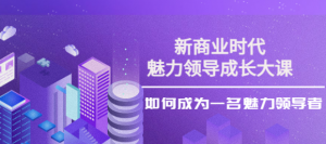 魅力领导成长大课:如何成为一名魅力老板(26节课时)-虚拟货源网